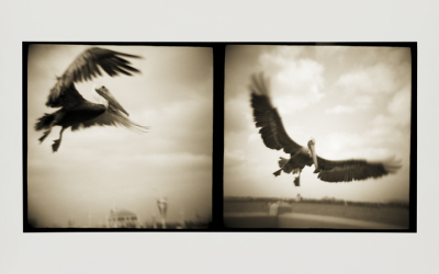 DigitalFusion Advances the Art of Photographic Archives with the Autry Museum
