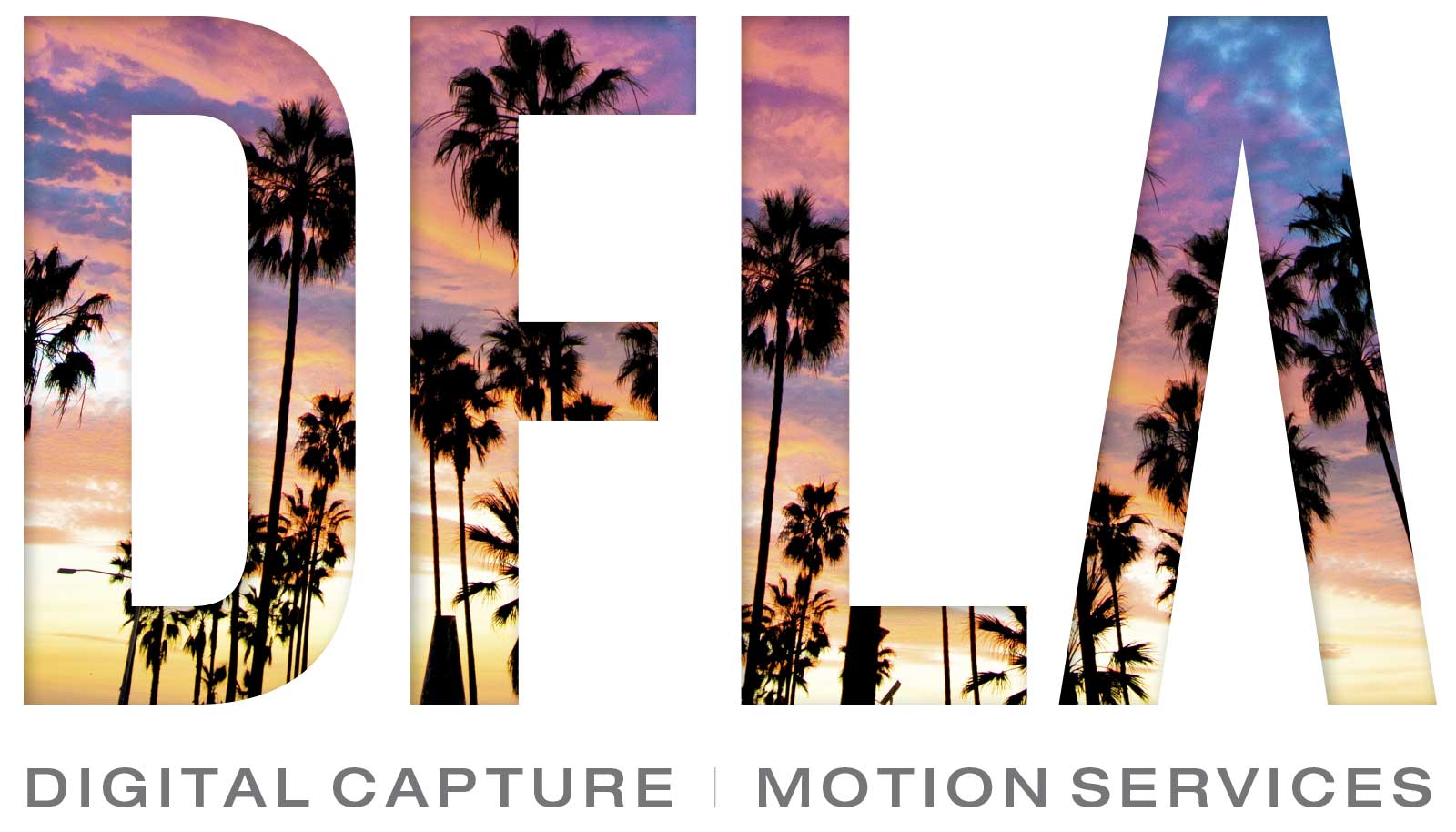 DFLA | Digital Capture + Equipment Rental
